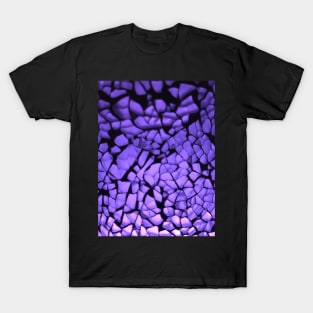 Crystal 1 T-Shirt